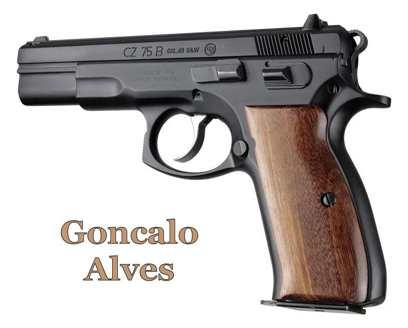 HOGUE® • CZ 75 - 85 Panel Grips - HRV Grips — Hudson River Valley